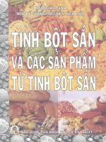 Tinh bột sắn và các sản phẩm từ tinh bột sắn