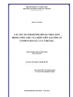 CÁC YẾU TỐ TÁC ĐỘNG ĐẾN SỰ THỎA MÃN TRONG CÔNG VIỆC CỦA NHÂN VIÊN TẠI CÔNG TY CỔ PHẦN BÁN LẺ C.T (C.T RETAIL).PDF