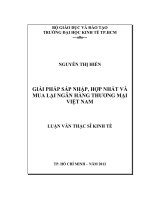 GIẢI PHÁP SÁP NHẬP, HỢP NHẤT VÀ MUA LẠI NGÂN HÀNG THƯƠNG MẠI VIỆT NAM.PDF