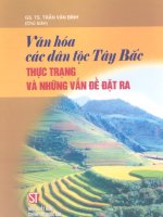 Văn hóa các dân tộc Tây Bắc thực trạng và những vấn đề đặt ra