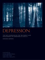 THE NICE GUIDELINE ON THE TREATMENT AND MANAGEMENT OF DEPRESSION IN ADULTS