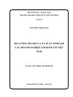 ĐO LƯỜNG RỦI RO VÀ TỶ SUẤT SINH LỢI CÁC DOANH NGHIỆP LOGISTICS Ở VIỆT NAM.PDF