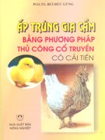 Ấp trứng gia cầm bằng phương pháp thủ công cổ truyền có cải tiến
