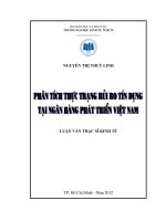 PHÂN TÍCH THỰC TRẠNG RỦI RO TÍN DỤNG TẠI NGÂN HÀNG PHÁT TRIỂN VIỆT NAM.PDF