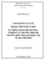 Luận văn thạc sĩ  Ảnh hưởng của các thuộc tính tâm lý đến sự thông thạo thị trường Nghiên cứu trường hợp thị trường điện thoại di động tại thành phố Hồ Chí Minh