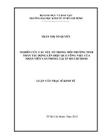NGHIÊN CỨU CÁC YẾU TỐ TRONG MÔI TRƯỜNG TINH THẦN TÁC ĐỘNG LÊN HIỆU QUẢ CÔNG VIỆC CỦA NHÂN VIÊN VĂN PHÒNG TẠI TP. HỒ CHÍ MINH.PDF