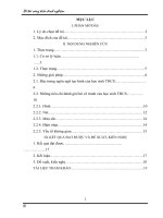 skkn sự thống nhất trong quan điểm chấm bài vẽ tranh của học sinh