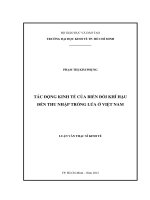 Tác động kinh tế của biến đổi khí hậu đến thu nhập trồng lúa ở Việt Nam