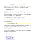 Bài 4 - Thế Giới Của Những Biến Số