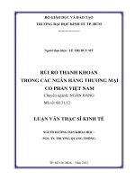 RỦI RO THANH KHOẢN TRONG CÁC NGÂN HÀNG TMCP VIỆT NAM.PDF