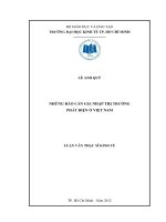 Luận văn thạc sĩ Những rào cản gia nhập thị trường phát điện ở Việt Nam