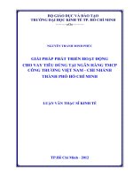Giải pháp phát triển hoạt động cho vay tiêu dùng tại ngân hàng TMCP công thương Việt Nam - chi nhánh TPHCM