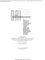 DIETARY REFERENCE INTAKES FOR Vitamin A, Vitamin K, Arsenic, Boron, Chromium, Copper, Iodine, Iron, Manganese, Molybdenum, Nickel, Silicon, Vanadium, and Zinc