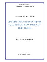 Giải pháp nâng cao quản trị vốn tự có tại Ngân hàng thương mại phát triển TP. Hồ Chí Minh