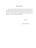 GIẢI PHÁP TĂNG THU DỊCH VỤ PHI TÍN DỤNG TẠI NGÂN HÀNG TMCP CÔNG THƯƠNG VIỆT NAM CHI NHÁNH KCN BIÊN HÒA.PDF