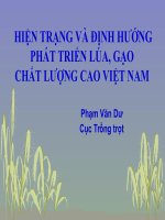 HIỆN TRẠNG VÀ ĐỊNH HƯỚNG PHÁT TRIỂN LÚA, GẠO CHẤT LƯỢNG CAO VIỆT NAM