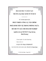 Luận văn thạc sĩ Phát triển công cụ tài chính phái sinh tiền tệ trong phòng ngừa rủi ro tỷ giá cho doanh nghiệp
