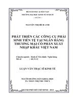 Phát triển các công cụ phái sinh tiền tệ tại ngân hàng TMCP Xuất Nhập Khẩu Việt Nam