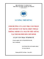 Ảnh hưởng của giá trị cảm nhận đến hành vi sử dụng điện thoại thông minh của người tiêu dùng tại thành phố Hồ Chí Minh