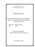 ỨNG DỤNG HIỆP ƯỚC BASEL VÀO QUẢN TRỊ RỦI RO HOẠT ĐỘNG TẠI NGÂN HÀNGTMCP PHÁT TRIỂN NHÀ ĐỒNG BẰNG SÔNG CỬU LONG.PDF
