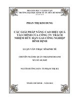 Các giải pháp nâng cao hiệu quả tài chính của công ty trách nhiệm hữu hạn Gas công nghiệp Bình Định