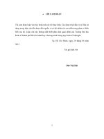 Đánh giá các phương án sử dụng nguyên liệu đầu vào cho các nhà máy điện - Tình huống điện Nhơn Trạch 2 và dự án kho chứa LNG 1 MPA Thị Vải