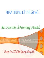 Giới thiệu về Pháp chứng kỹ thuật số