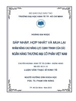 Luận văn thạc sĩ  Sát nhập, hợp nhất và mua lại nhằm nâng cao năng lực cạnh tranh của các ngân hàng thương mại cổ phần Việt Nam