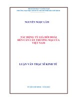 Luận văn thạc sĩ  Tác động tỷ giá hối đoái đến cán cân thương mại của Việt Nam