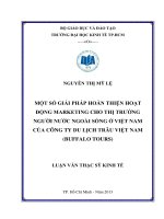 Một số giải pháp nhằm hoàn thiện hoạt động Marketing cho thị trường người nước ngoài sống ở Việt Nam của công ty du lịch trâu Việt Nam (Buffalo Tours)