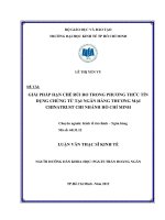 Giải pháp hạn chế rủi ro trong phương thức tín dụng chứng từ tại Ngân hàng thương mại Chinatrust chi nhánh Hồ Chí Minh