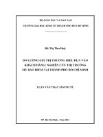 ĐO LƯỜNG GIÁ TRỊ THƯƠNG HIỆU DỰA VÀO KHÁCH HÀNG NGHIÊN CỨU THỊ TRƯỜNG MŨ BẢO HIỂM TẠI THÀNH PHỐ HỒ CHÍ MINH.PDF