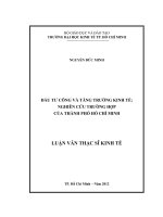 Đầu tư công và tăng trưởng kinh tế Nghiên cứu trường hợp của thành phố Hồ Chí Minh
