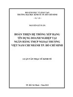 Hoàn thiện hệ thống xếp hạng tín dụng doanh nghiệp tại ngân hàng TMCP ngoại thương Việt Nam chi nhánh TPHCM