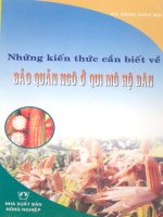 Những kiến thức cần biết về bảo quản ngô ở qui mô hộ dân