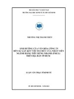ẢNH HƯỞNG CỦA VĂN HÓA CÔNG TY ĐẾN SỰ GẮN KẾT VỚI TỔ CHỨC CỦA NHÂN VIÊN NGÀNH HÀNG TIÊU DÙNG NHANH (FMCG) TRÊN ĐỊA BÀN TPHCM.PDF