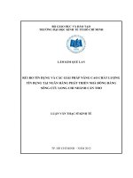 RỦI RO TÍN DỤNG VÀ CÁC GIẢI PHÁP NÂNG CAO CHẤT LƯỢNG TÍN DỤNG TẠI NGÂN HÀNG PHÁT TRIỂN NHÀ ĐỒNG BẰNG SÔNG CỬU LONG CHI NHÁNH CẦN THƠ.PDF