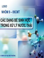CÁC DẠNG BỂ SINH HỌC TRONG XỬ LÝ NƯỚC THẢI