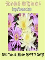 Tập làm văn 5 - Tuần 24 - Ôn tập tả đồ vật