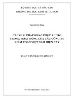 Các giải pháp khắc phục rủi ro trong hoạt động của các công ty kiểm toán Việt Nam hiện nay