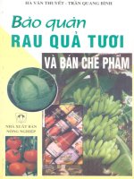 Bảo quản rau quả tươi và bán chế phẩm
