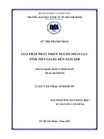 GỈẢI PHÁP PHÁT TRIỂN NGUỒN NHÂN LỰC TỈNH TIỀN GIANG ĐẾN NĂM 2020.PDF