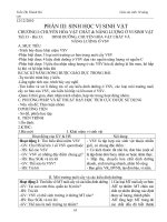 Giáo án sinh học lớp 10 học kì 2 (nâng cao)