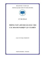 Luận văn thạc sĩ  Phòng ngừa rủi ro giá dầu cho các Doanh nghiệp vận tải biển