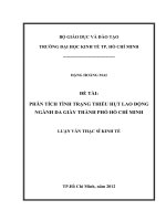Luận văn thạc sĩ Phân tích tình trạng thiếu hụt lao động ngành da giày thành phố Hồ Chí Minh