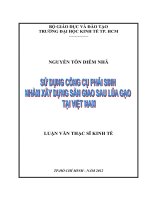 Sử dụng công cụ phái sinh nhằm xây dựng Sàn giao sau lúa gạo tại Việt Nam