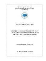 Các yếu tố ảnh hưởng đến tỷ suất lãi cận biên của một số Ngân hàng thương mại cổ phần Việt Nam