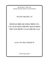 ĐÁNH GIÁ HIỆU QUẢ HOẠT ĐỘNG CỦA CÁC NGÂN HÀNG THƯƠNG MẠI CỔ PHẦN VIỆT NAM TRƯỚC VÀ SAU KHI MUA LẠI.PDF