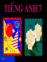 Bài giảng Tiếng Anh 7 - Back to school - A1