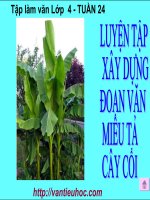 TẬP LÀM VĂN LỚP 4 - LUYỆN TẬP XÂY DỰNG ĐOẠN VĂN MIÊU TẢ CÂY CỐI